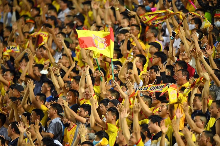 Vietnam to play int’l football friendly against Syria next month