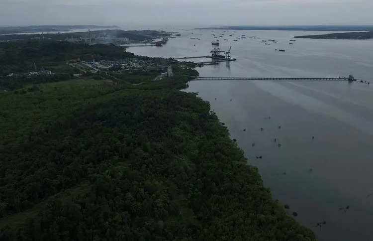 Indonesia pushes tourism to boost mangrove restoration