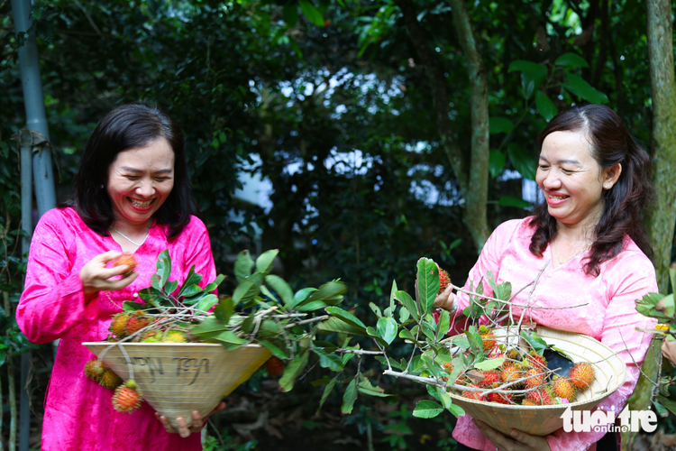 District in Ho Chi Minh City welcomes visitors for countryside experiences