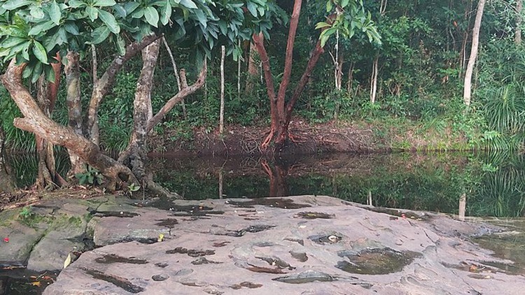 2 children drown in stream on Vietnam’s Phu Quoc Island