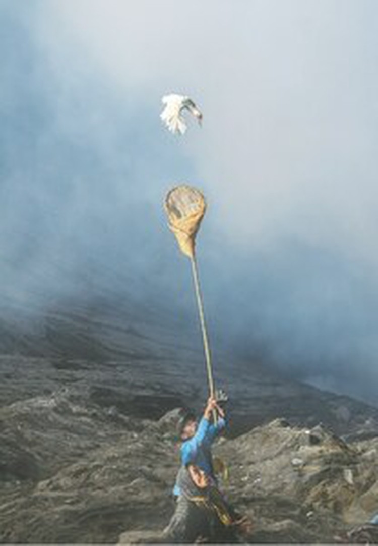 Volcano draws thousands for ritual sacrifice in Indonesia