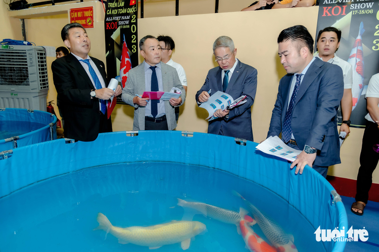 Nearly 600 koi fish featured at Ho Chi Minh City show