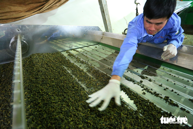 Watchdog team says Lam Dong-grown tea contains no artificial colors amid accusation of Vietnamese embassy in Pakistan, Afghanistan
