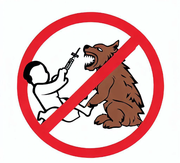2 kids dead due to rabies in Vietnam's Gia Lai this month
