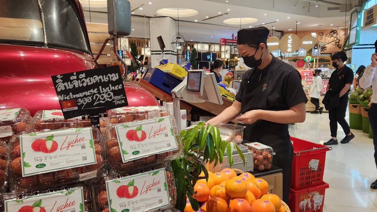 Vietnamese lychees available in Thailand’s supermarkets