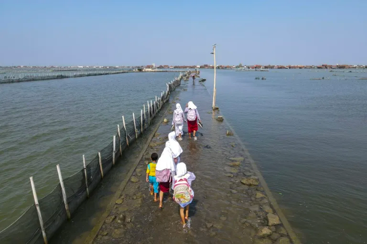 'Slow disaster': Indonesians in sinking village forced to adapt