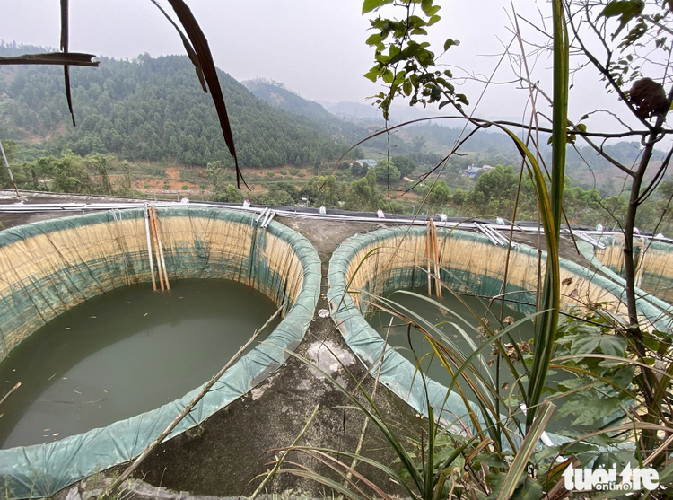 Vietnam aims to annually exploit 2mn tonnes of rare earths