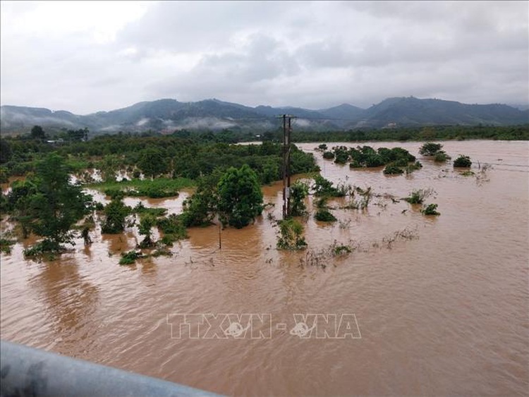Evacuation continues as heavy downpours linger in Vietnam’s Lam Dong