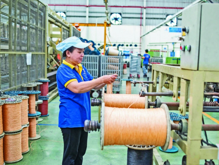 Major Thai firms make fortune in Vietnam