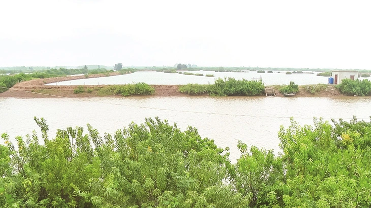 Northern Vietnamese province reduces over 11,000 hectares of natural reserve for urban area, golf course project