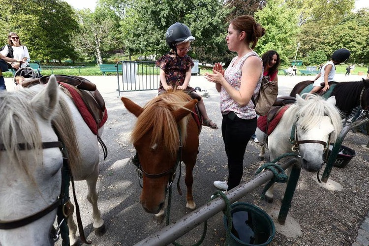Paris bans pony rides for children following animal rights campaign