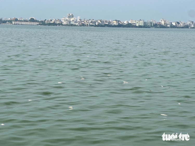 Dead fish found floating in Hanoi’s West Lake during season change