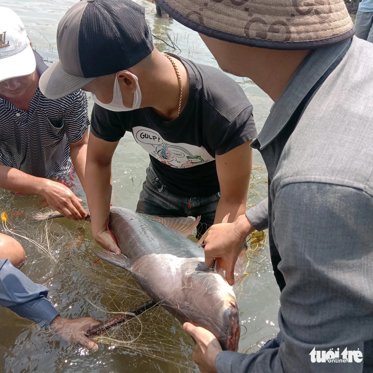 In Vietnam, locals catch fish following water release from hydropower reservoir