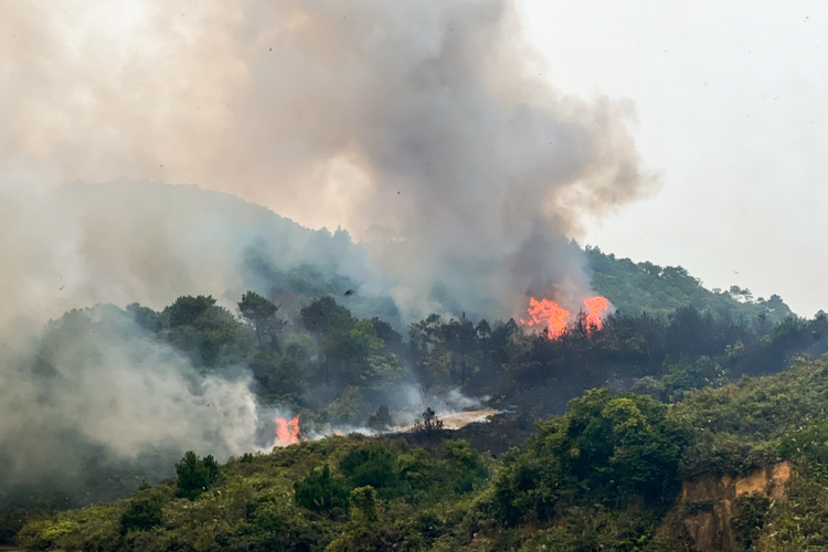 Volunteer firefighter dies battling wildfire in Vietnam