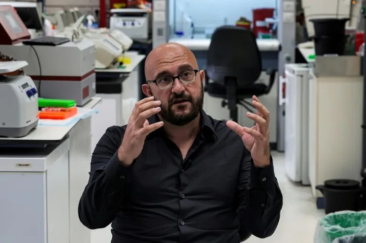 Lab-grown human 'embryos' offer new research hope