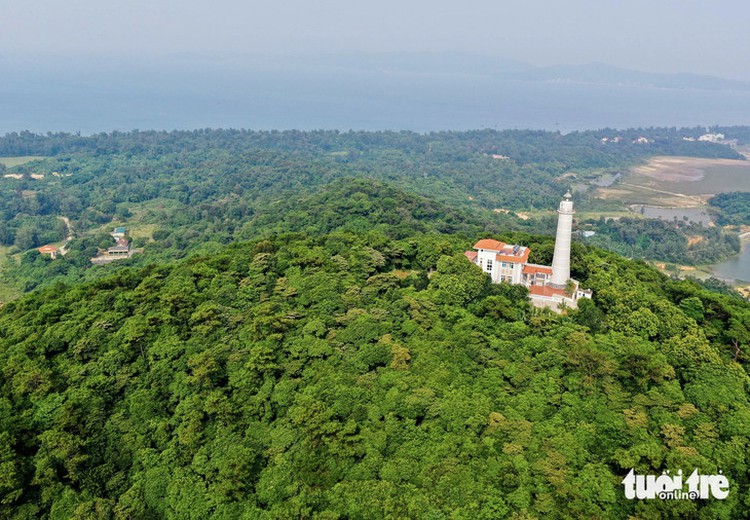 Vietnam to pilot carbon credit market in 2025, eyes net-zero emissions by 2050