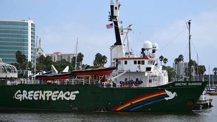 'Huge' overfishing problem shows need to ratify ocean treaty: Greenpeace