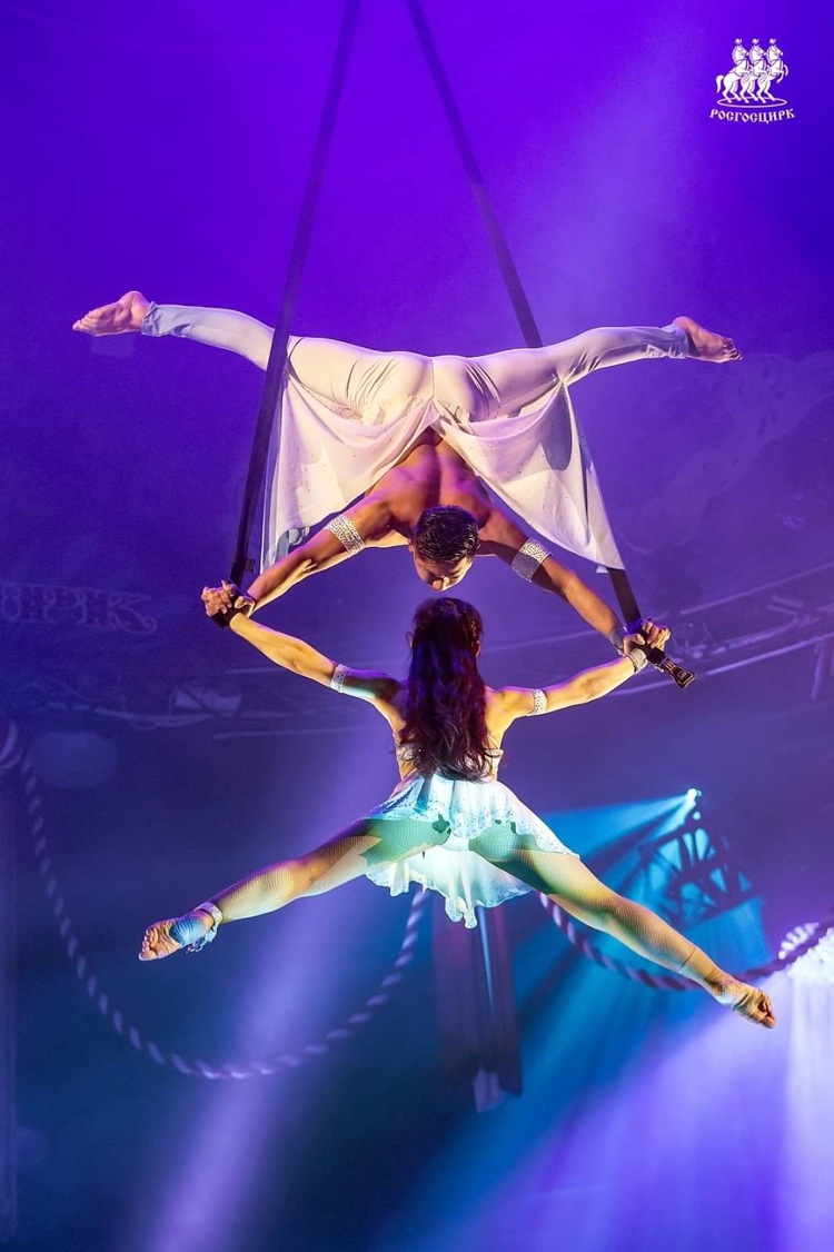 Vietnam wins silver at Int’l Circus Festival in Russia