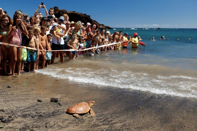 Dozens of nations to sign U.N. ocean treaty but implementation still awaits