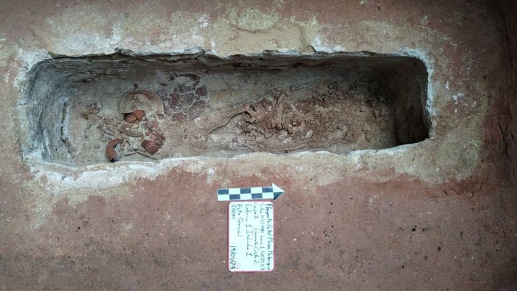 Ancient Maya grave found in Mexico as tourist rail project advances