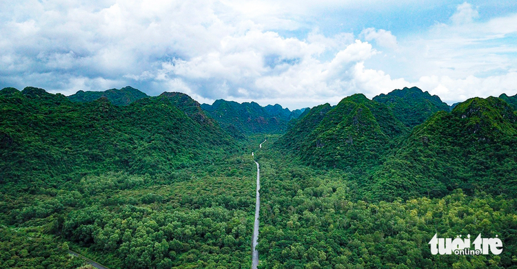 What makes Ha Long Bay-Cat Ba Archipelago new world heritage?