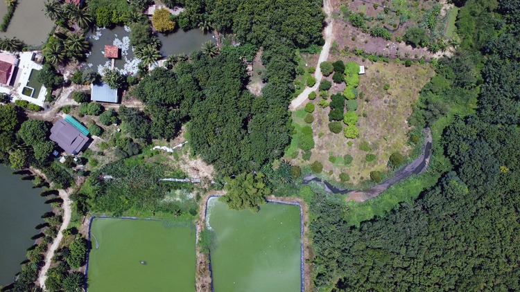 Residents complain about bad odor from rubber plant in Vietnam’s Binh Phuoc
