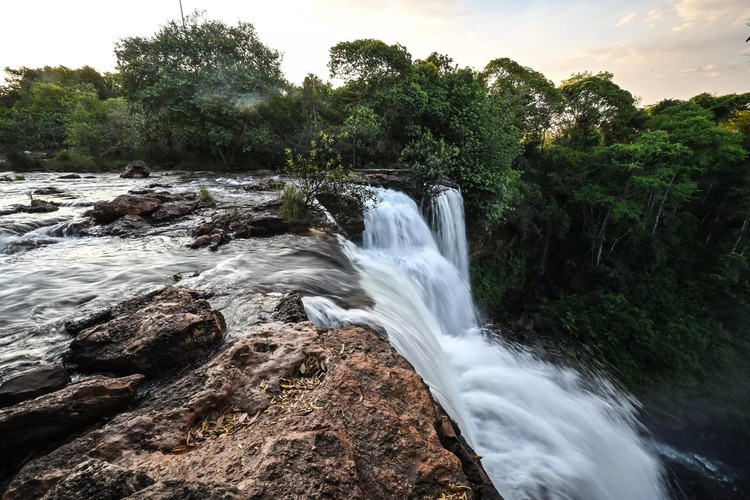 Race to save the Amazon leaves out Brazil's crucial savanna