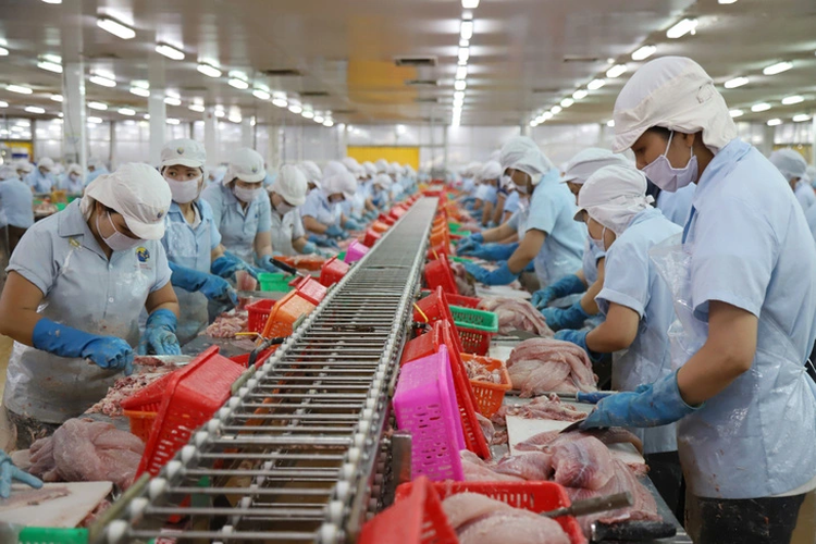 Vietnam’s economic growth to rebound to 6.5% next year: VinaCapital