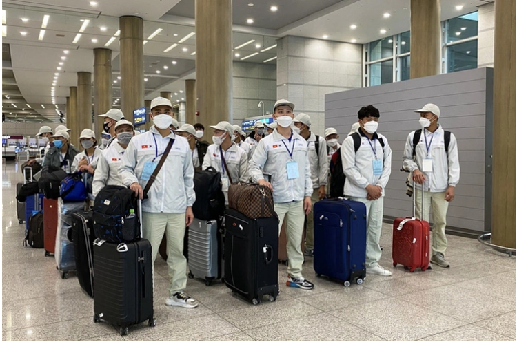 19 Vietnamese seasonal laborers illegally escape from workplaces in S.Korea