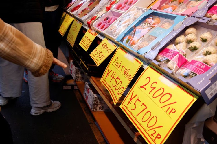 Japan to spend over $112 bln for steps to combat inflation pain: draft