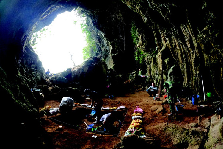Vietnam unearths human remains dating back 10,000 years