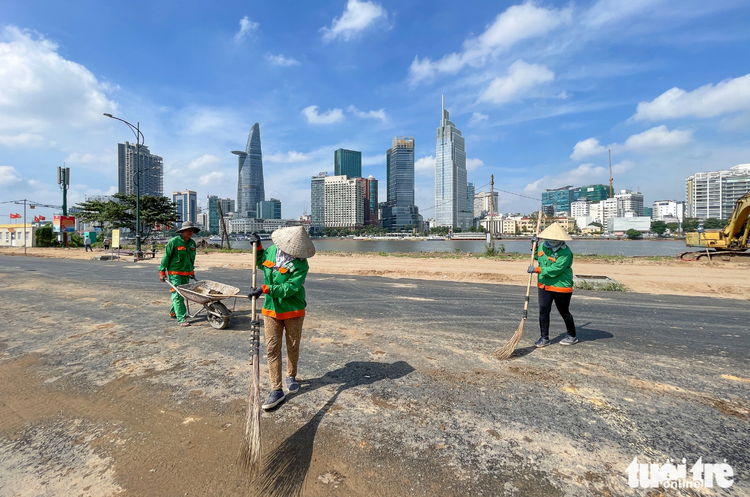 Sunflowers to bring swaths of yellow to Ho Chi Minh City riverbank