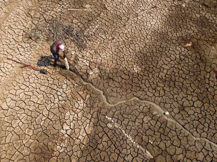 Impact of Amazon's climate-driven drought may last until 2026