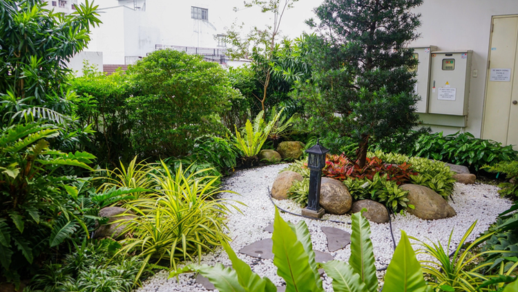 What should Ho Chi Minh City do to increase green space?