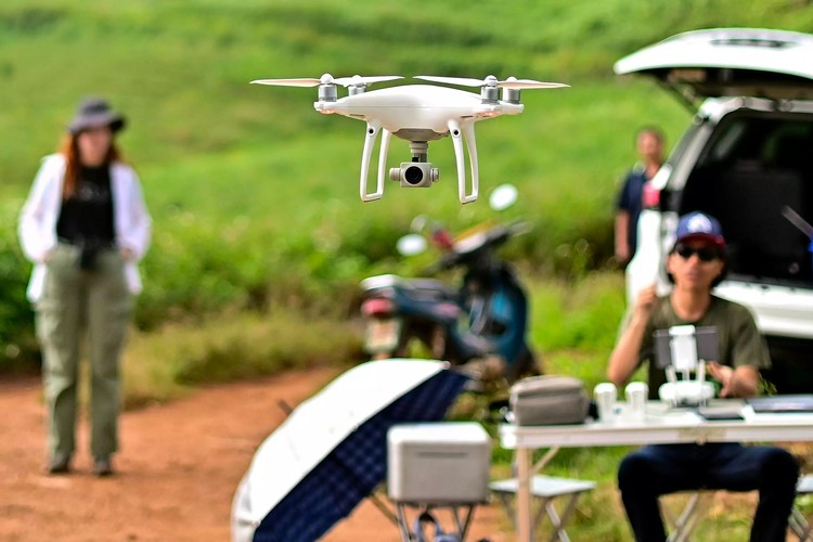 Drones help solve forest carbon capture riddle