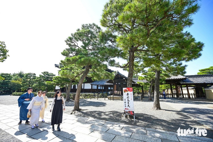 Japan sees record number of Vietnamese tourists in January-November