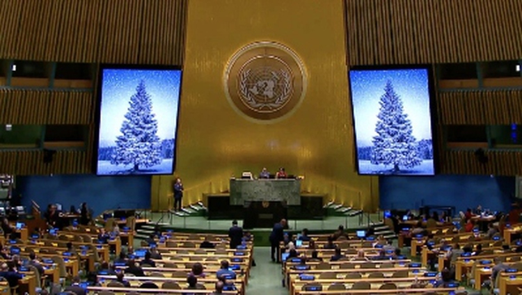 Lunar New Year listed by United Nations as its annual holiday