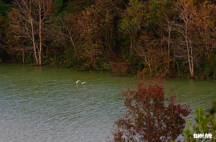 Shades of pink, orange overtake north-central Vietnam as leaves change, winter sets in