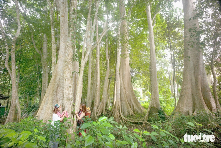 Deputy minister proposes establishment of Vietnam’s national carbon credit exchange