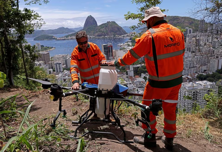In Brazil, drones take flight in Rio in high-tech reforestation push