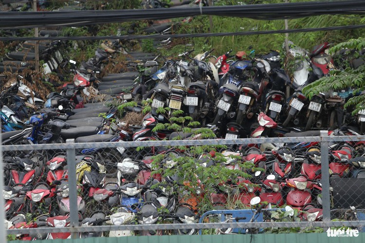 Ho Chi Minh City lacks 10,000m2 of spaces for vehicles impounded from traffic violators
