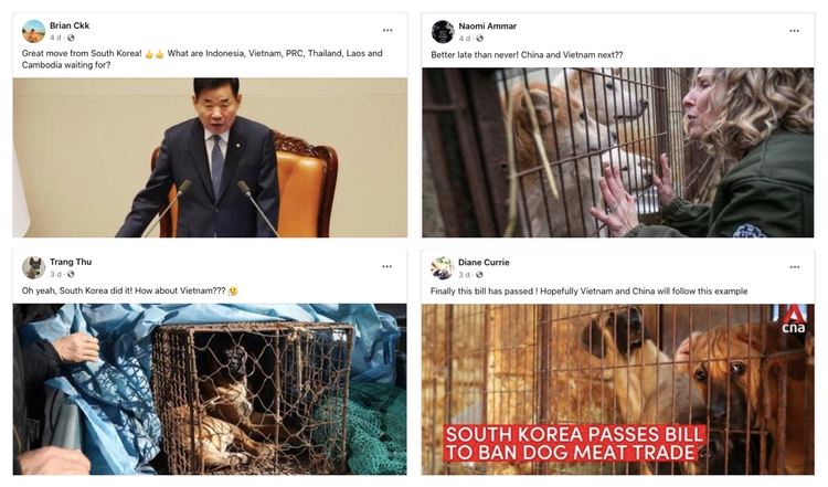 S.Korea bans dog meat. Is Vietnam next in line for change?