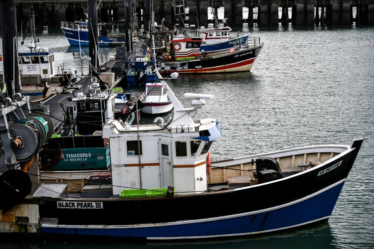 France orders rare atlantic fishing ban to protect dolphins