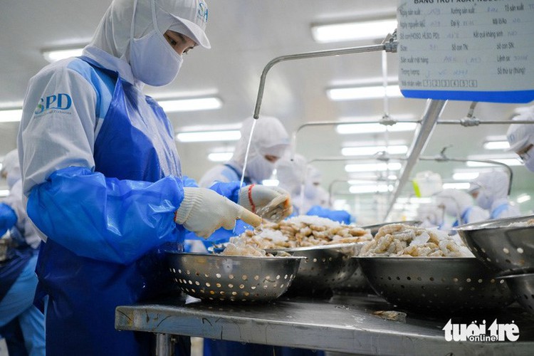 Prices of Vietnam’s seafood exports plunge