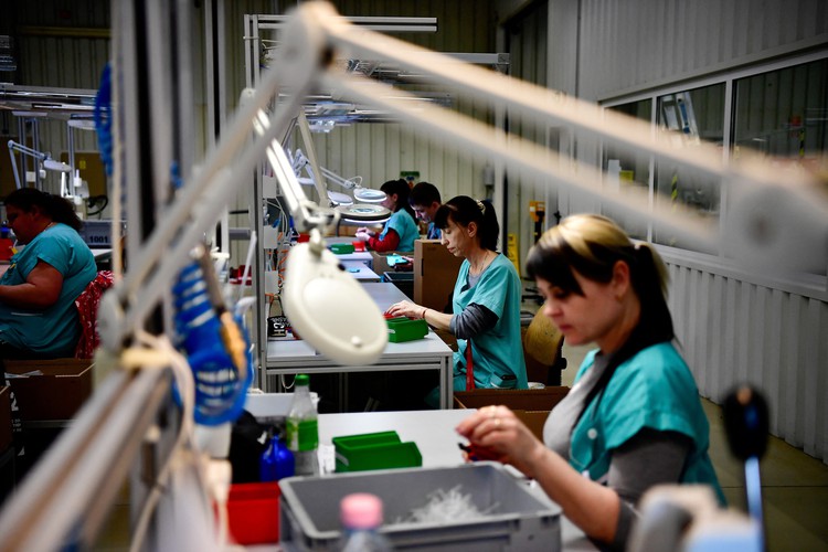 German woes darken central Europe's recovery prospects
