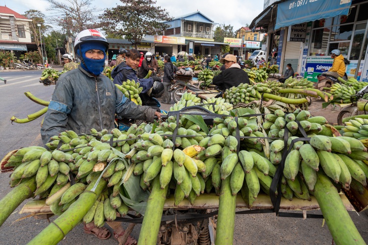 Central Vietnam’s biggest banana market bustles ahead of Tet