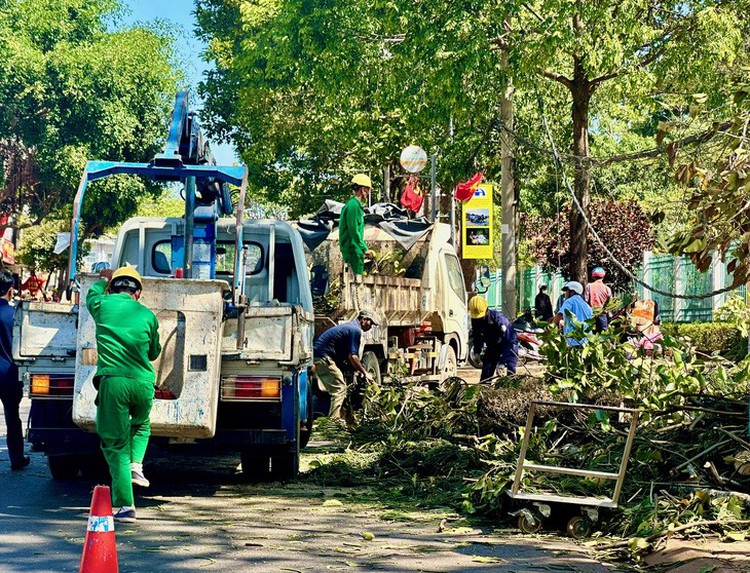 Falling tree kills girl in Vietnam’s Central Highlands