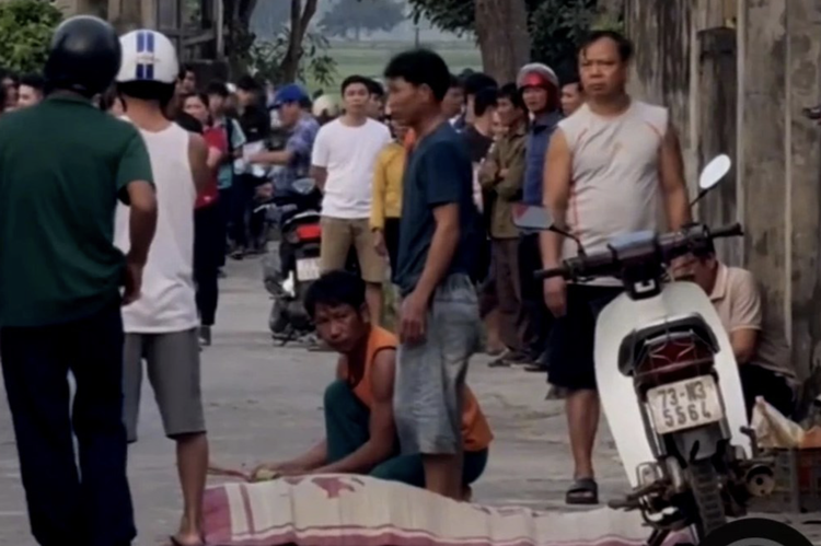 Water buffalo shot down after it fatally attacked octogenarian in north-central Vietnam