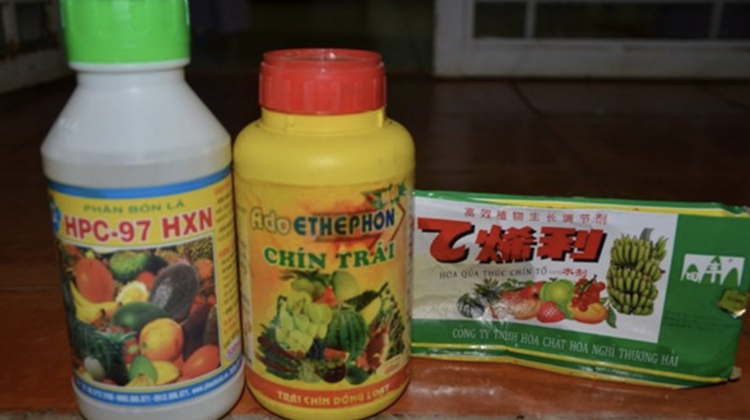 Vietnamese farmers confused about usage of fruit-ripening chemicals