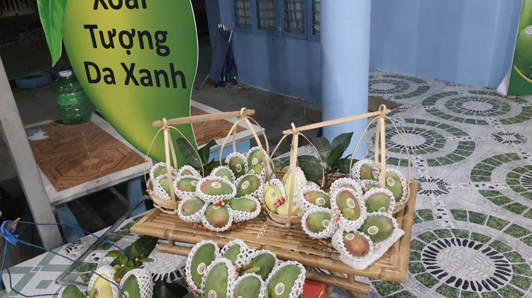 Vietnamese province ships 13 metric tons of flat-seed mangos to S.Korea